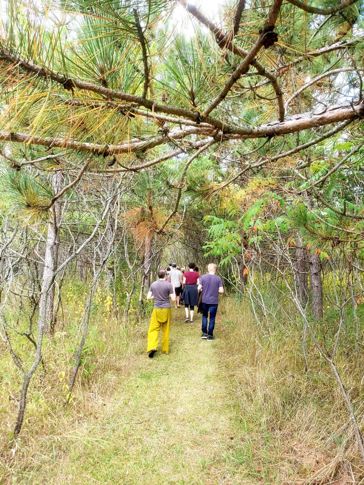 The School of Living Yoga Living Yoga with Ally Boothroyd and Tiina