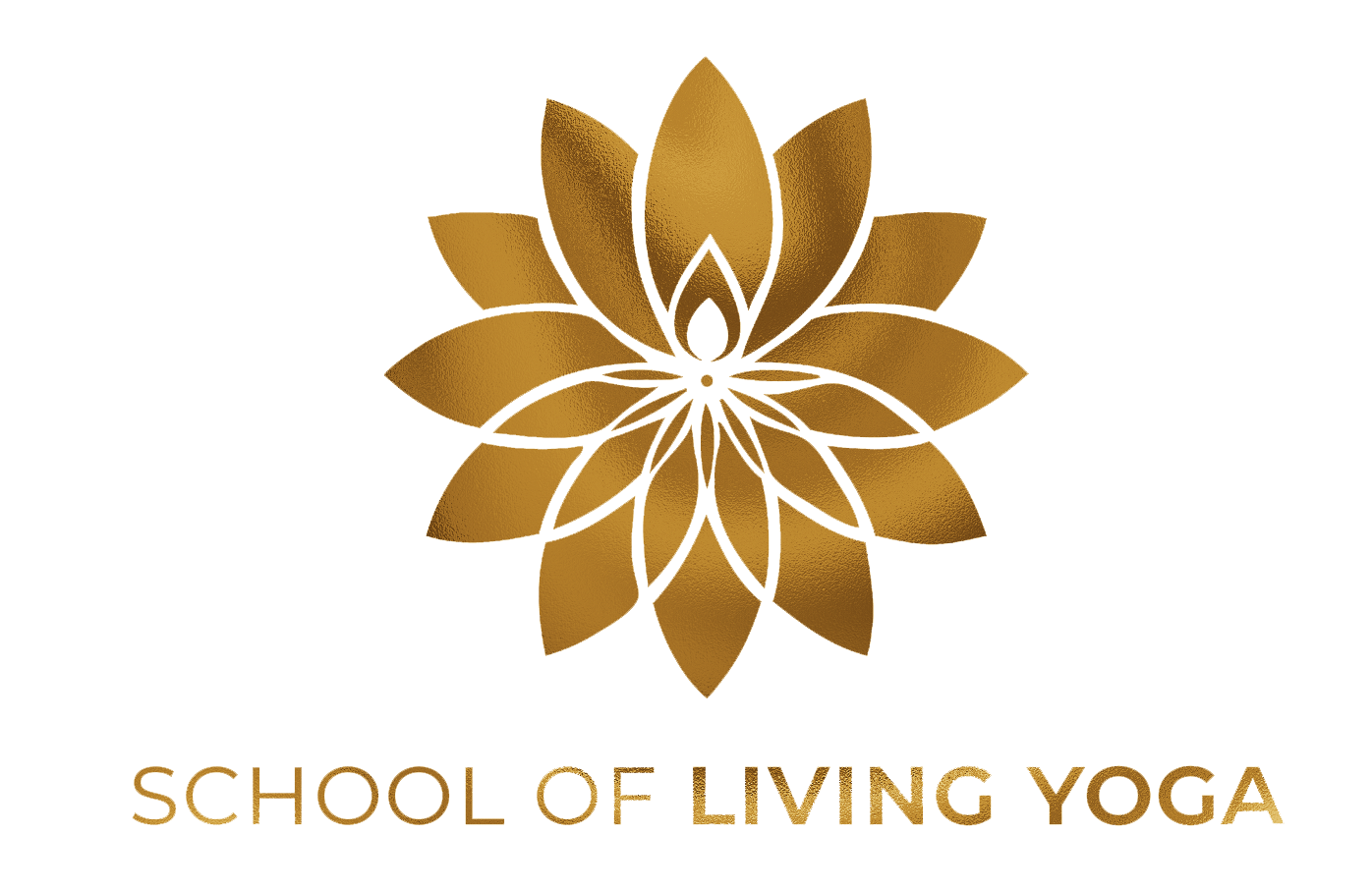 200 Hour Yoga Teacher Training (Yoga Alliance Certified) in